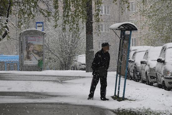 May snowfall in Moscow