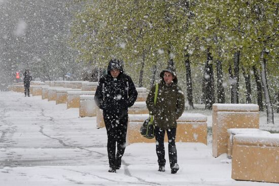 May snowfall in Moscow