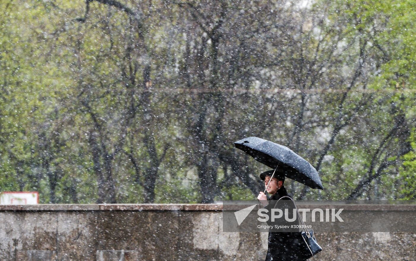 May snowfall in Moscow