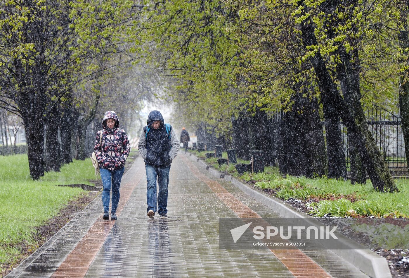 May snowfall in Moscow