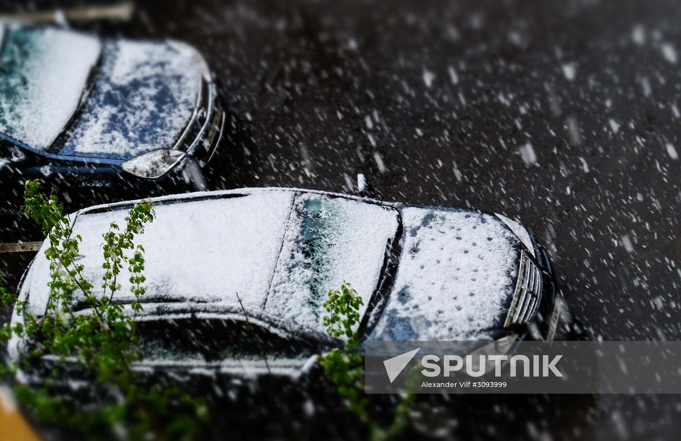 May snowfall in Moscow