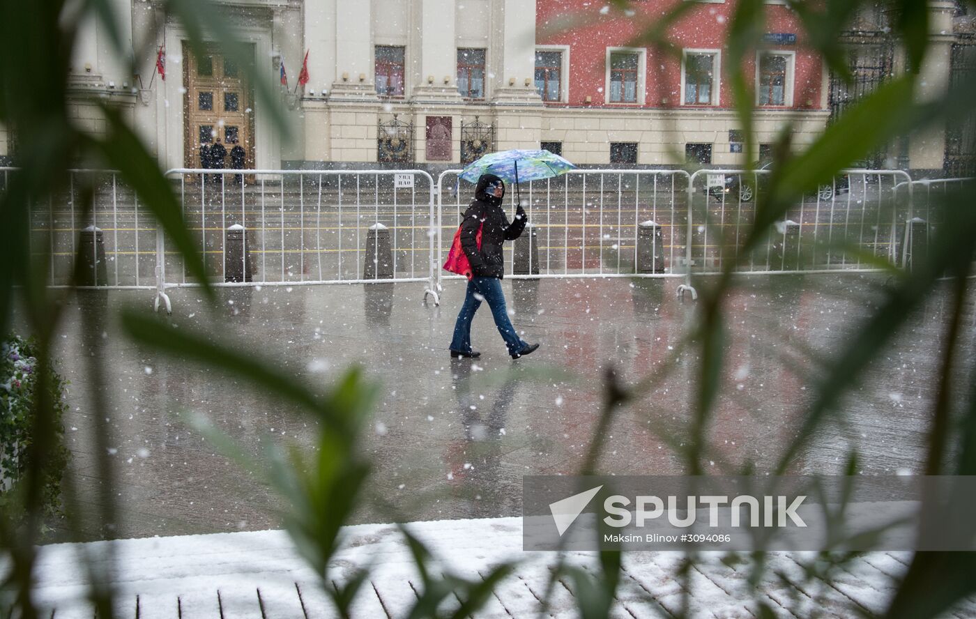 May snowfall in Moscow