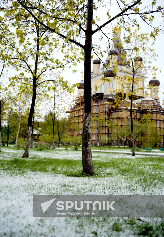 May snowfall in Moscow