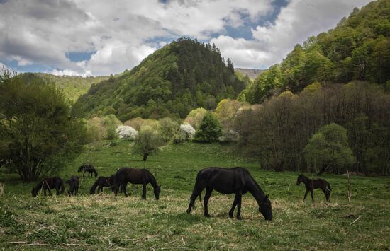 Byzantine epoch cathedrals in the Karachay-Cherkess Republic