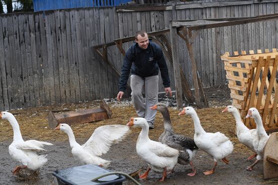 Goose farm in Kologriv