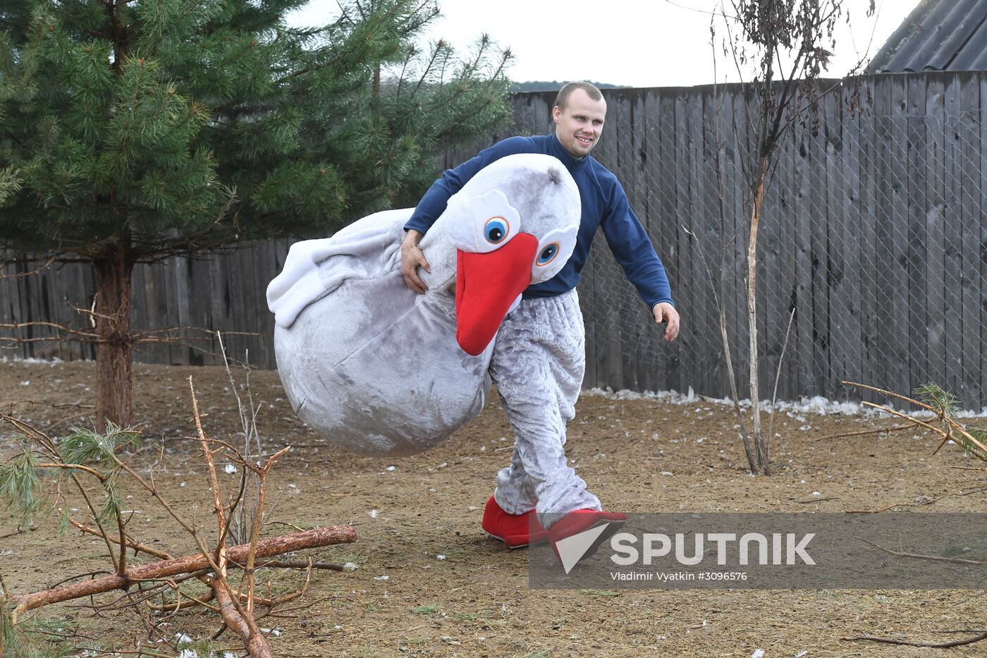 Goose farm in Kolorgriv, Russia