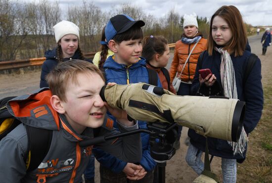 Goose Day in Kologriv