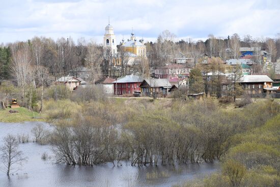 Goose Day in Kologriv