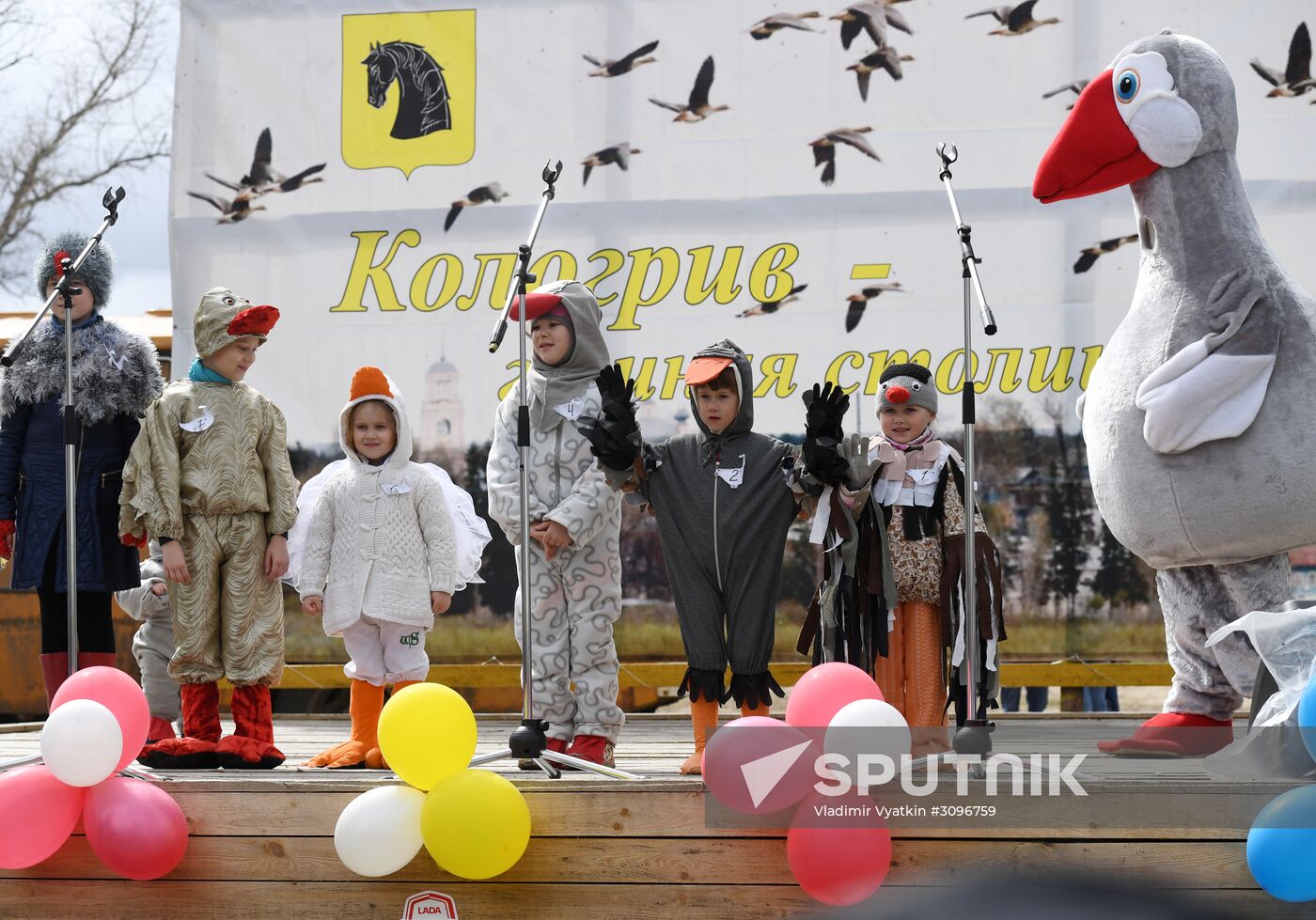 Goose Day in Kologriv