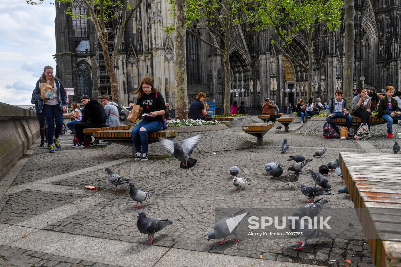 Cities of the world. Cologne