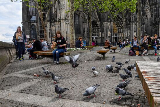 Cities of the world. Cologne