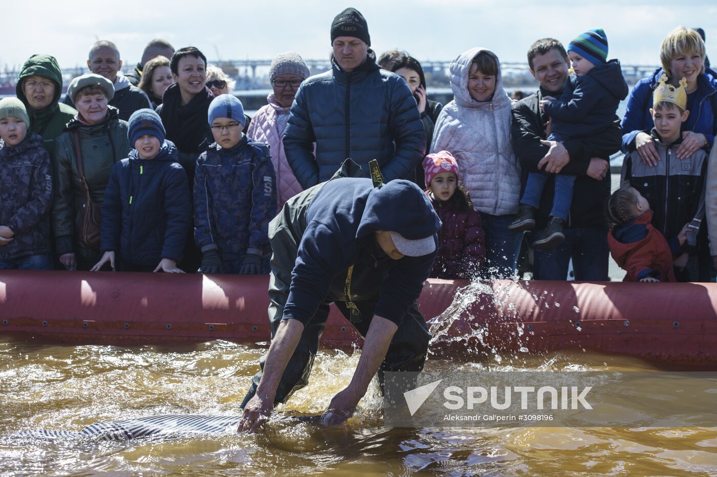 Smelt Festival 2017 in St. Petersburg