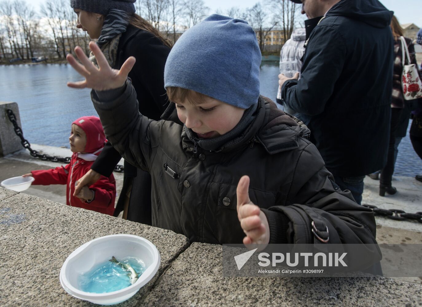 Smelt Festival 2017 in St. Petersburg