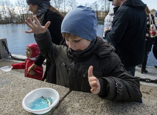 Smelt Festival 2017 in St. Petersburg