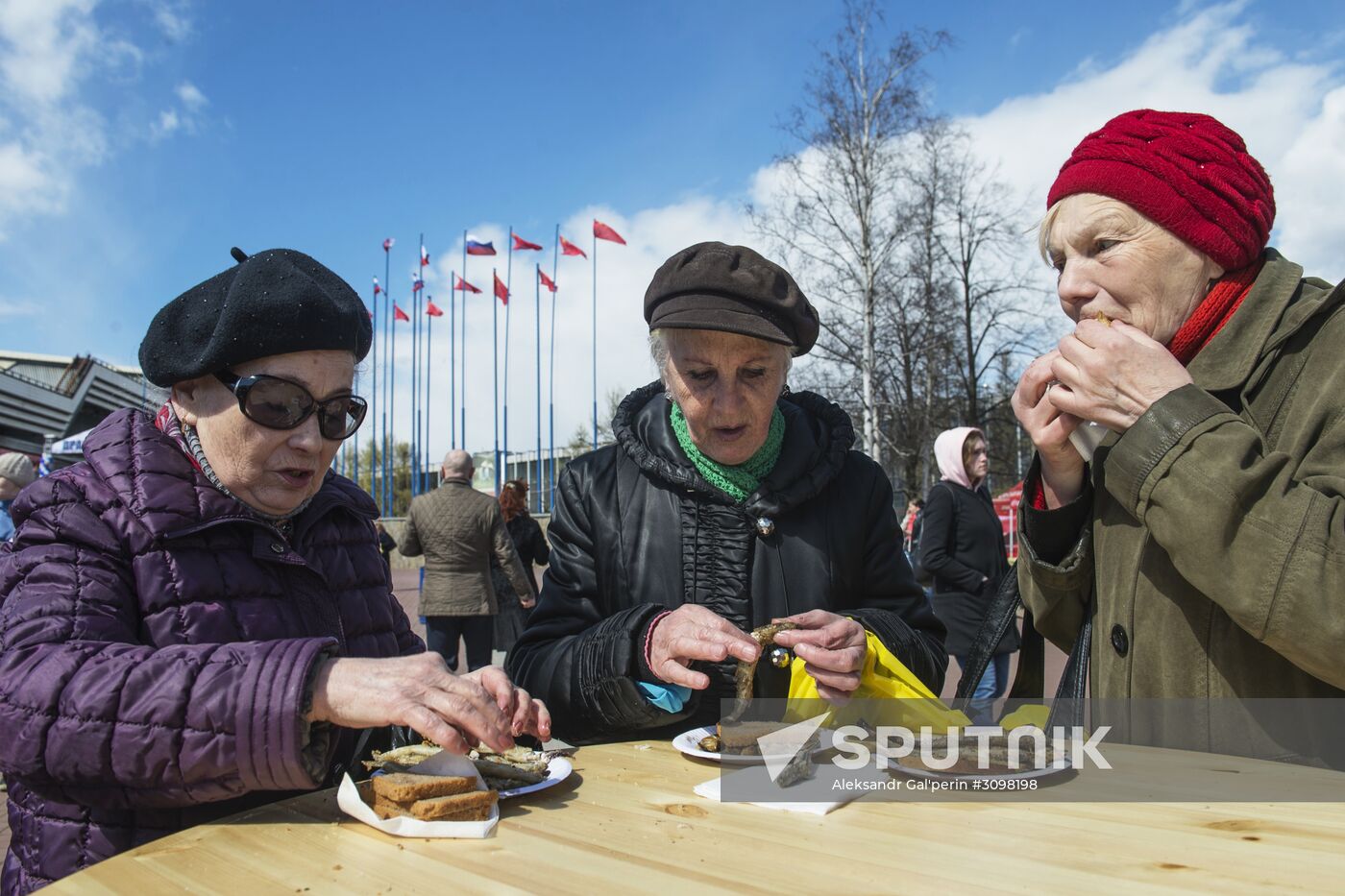 Smelt Festival 2017 in St. Petersburg