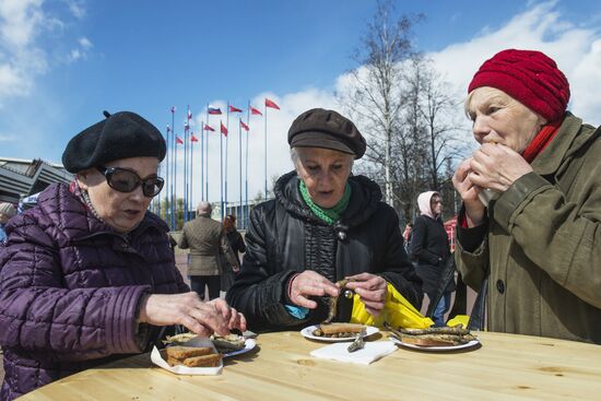 Smelt Festival 2017 in St. Petersburg