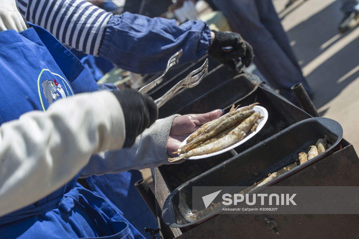 Smelt Festival 2017 in St. Petersburg