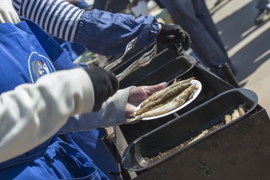 Smelt Festival 2017 in St. Petersburg