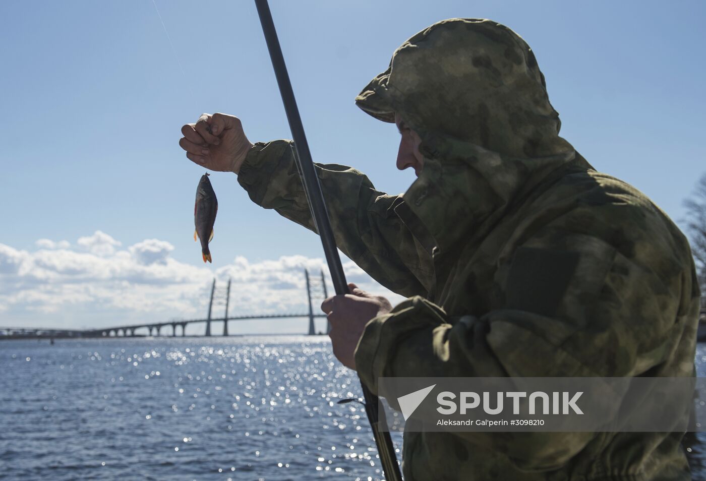 Smelt Festival 2017 in St. Petersburg