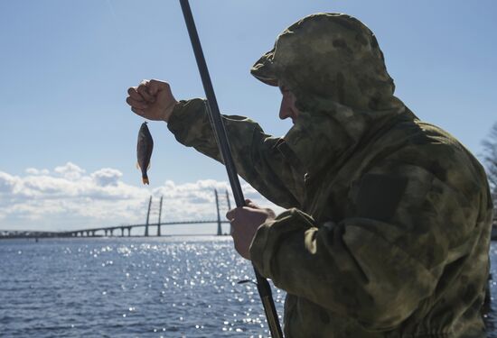 Smelt Festival 2017 in St. Petersburg