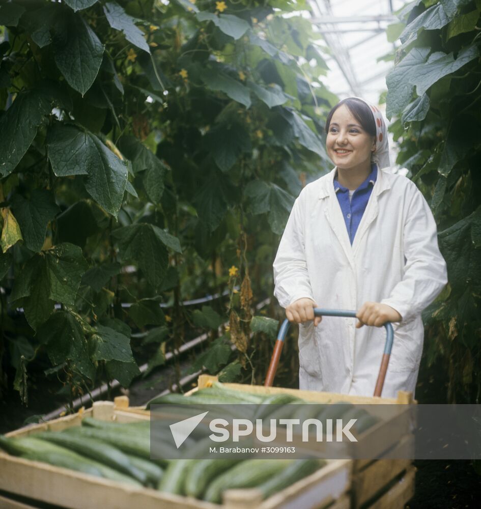 Moskovsky state farm