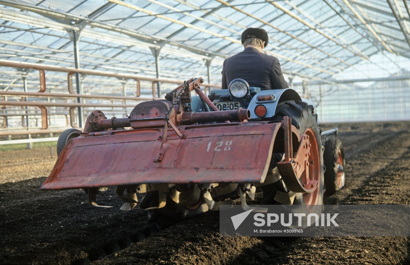 Moskovsky state farm