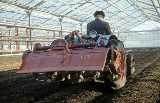 Moskovsky state farm