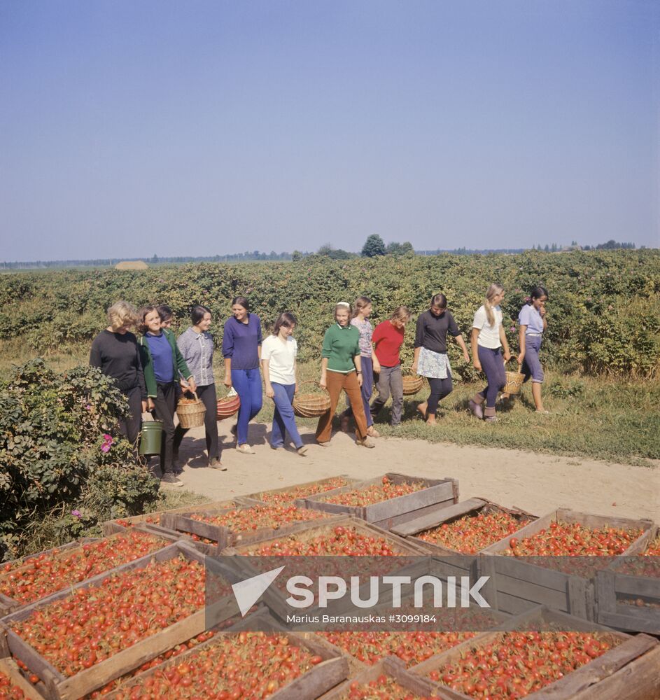 Leonpolis state farm in Lithuania