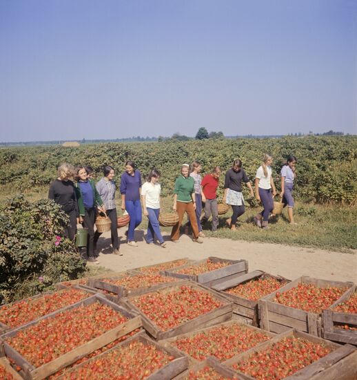 Leonpolis state farm in Lithuania