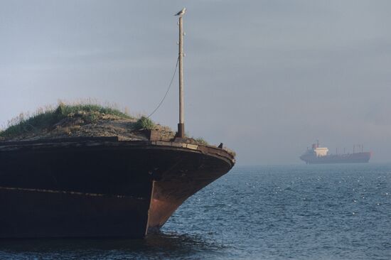 Anadyr City