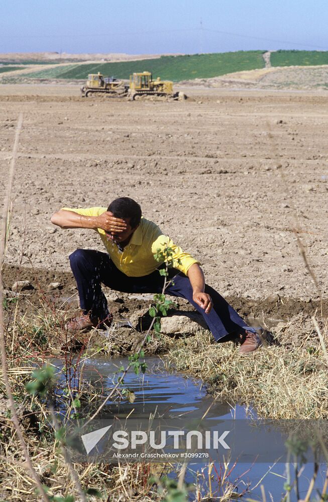 Gulbokh state farm