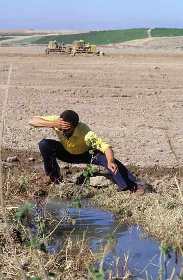 Gulbokh state farm