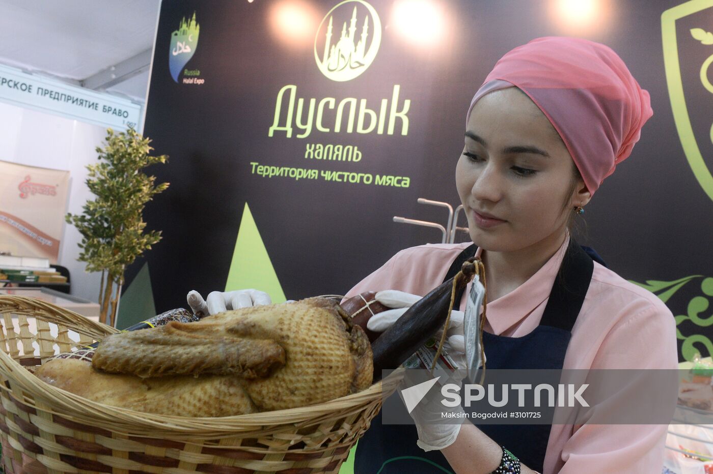 Russia - Islamic World: KazanSummit 2017 9th International Economic Summit