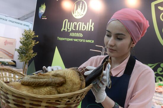 Russia - Islamic World: KazanSummit 2017 9th International Economic Summit