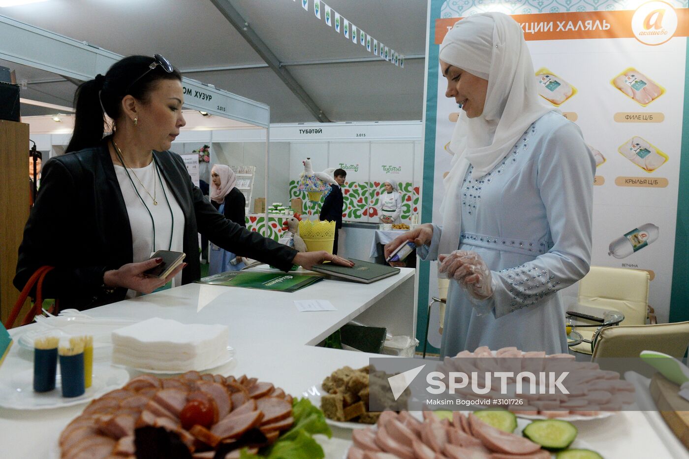 Russia - Islamic World: KazanSummit 2017 9th International Economic Summit
