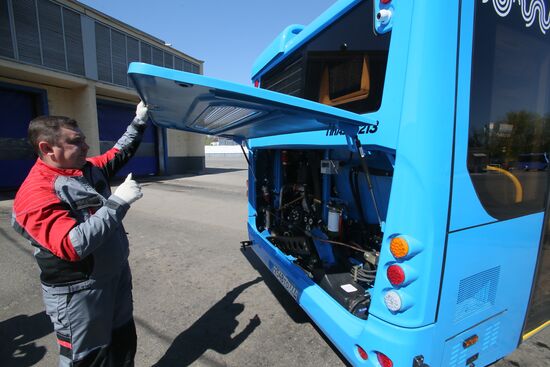 Passenger transport prepares for summer season