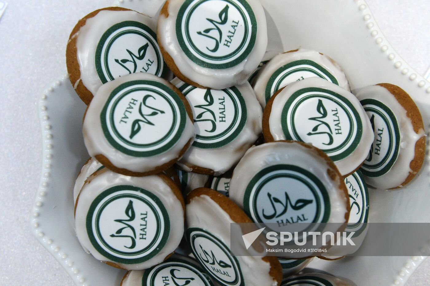 Russia - Islamic World: KazanSummit 2017 9th International Economic Summit. Day one