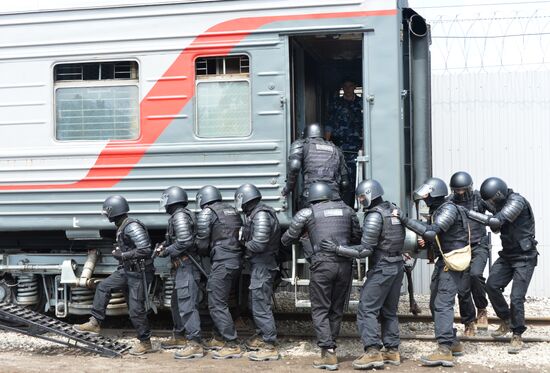 Special task force drills in Krasnodar Territory