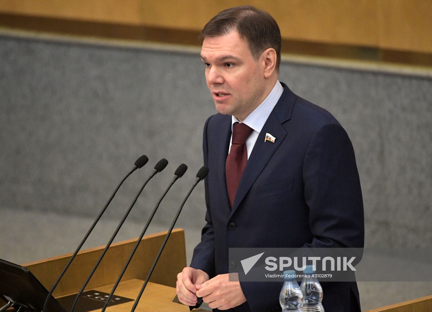State Duma plenary meeting