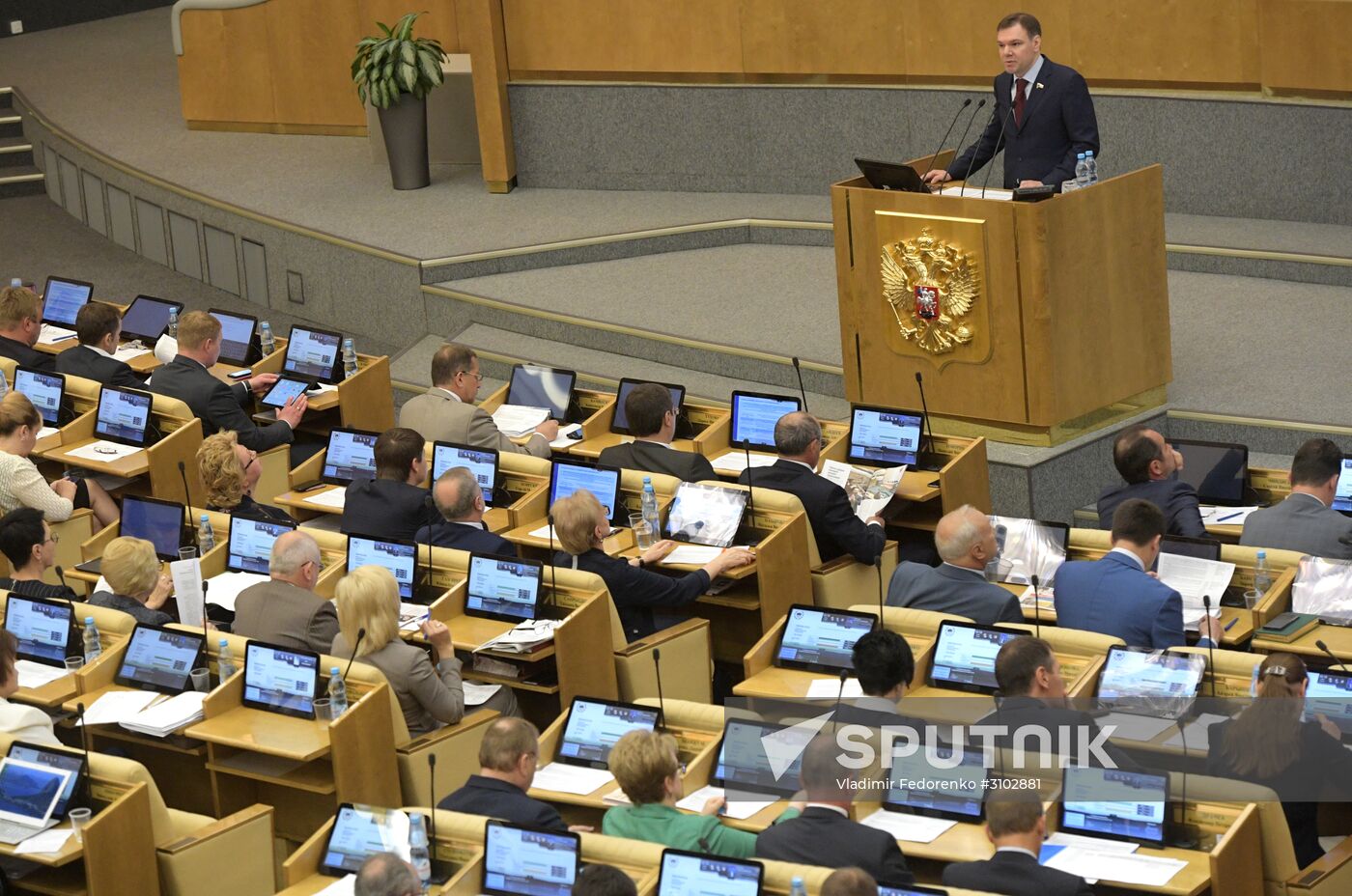 State Duma plenary meeting