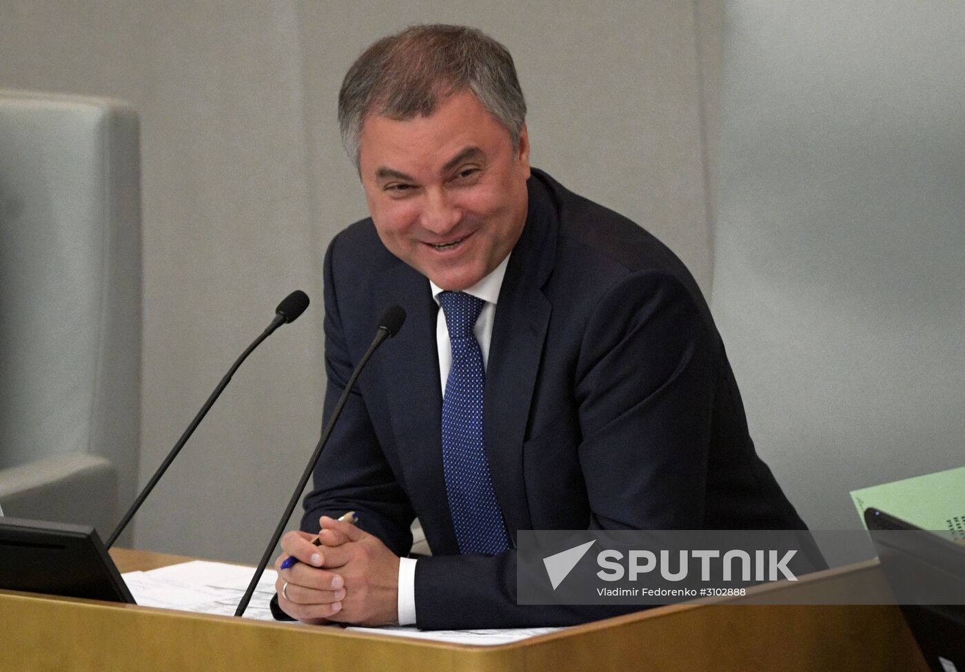 State Duma plenary meeting