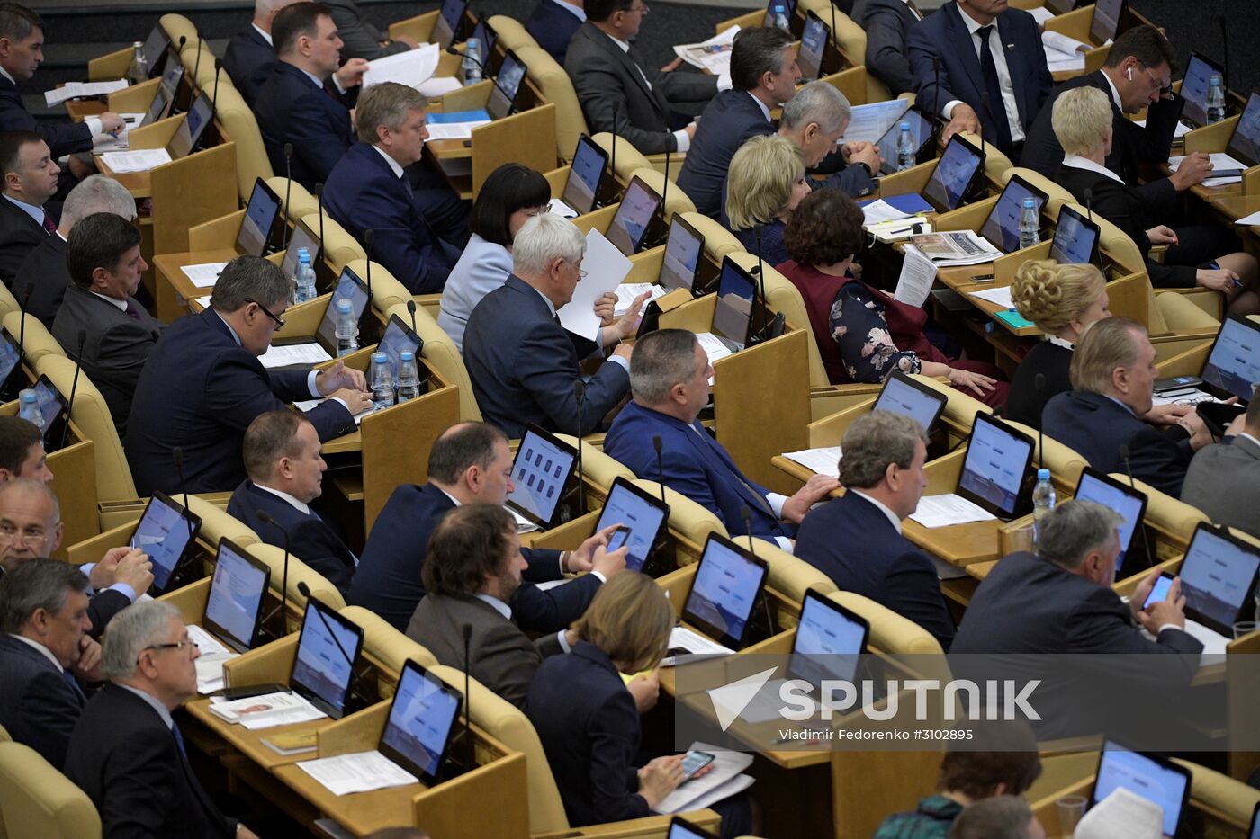 State Duma plenary meeting