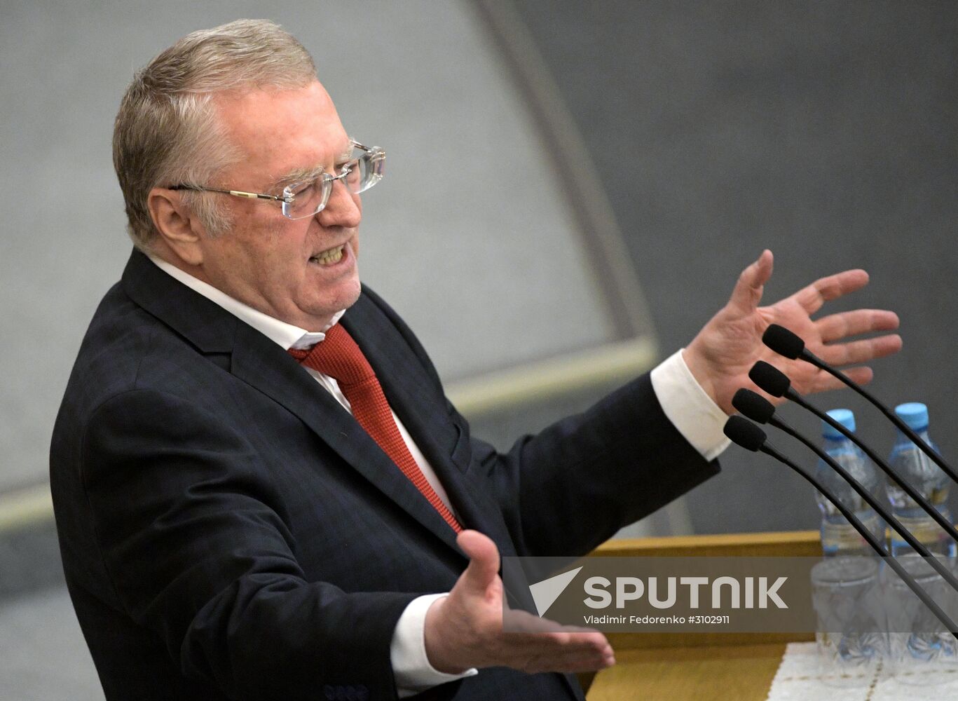 State Duma plenary meeting