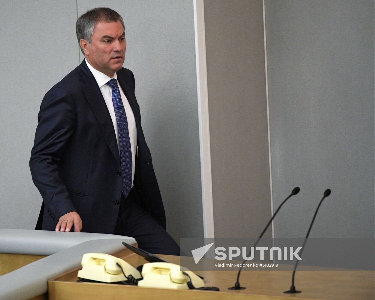 State Duma plenary meeting