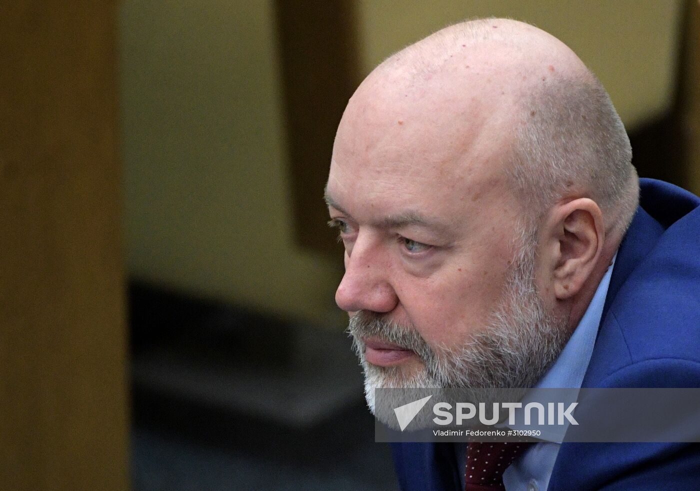 State Duma plenary meeting