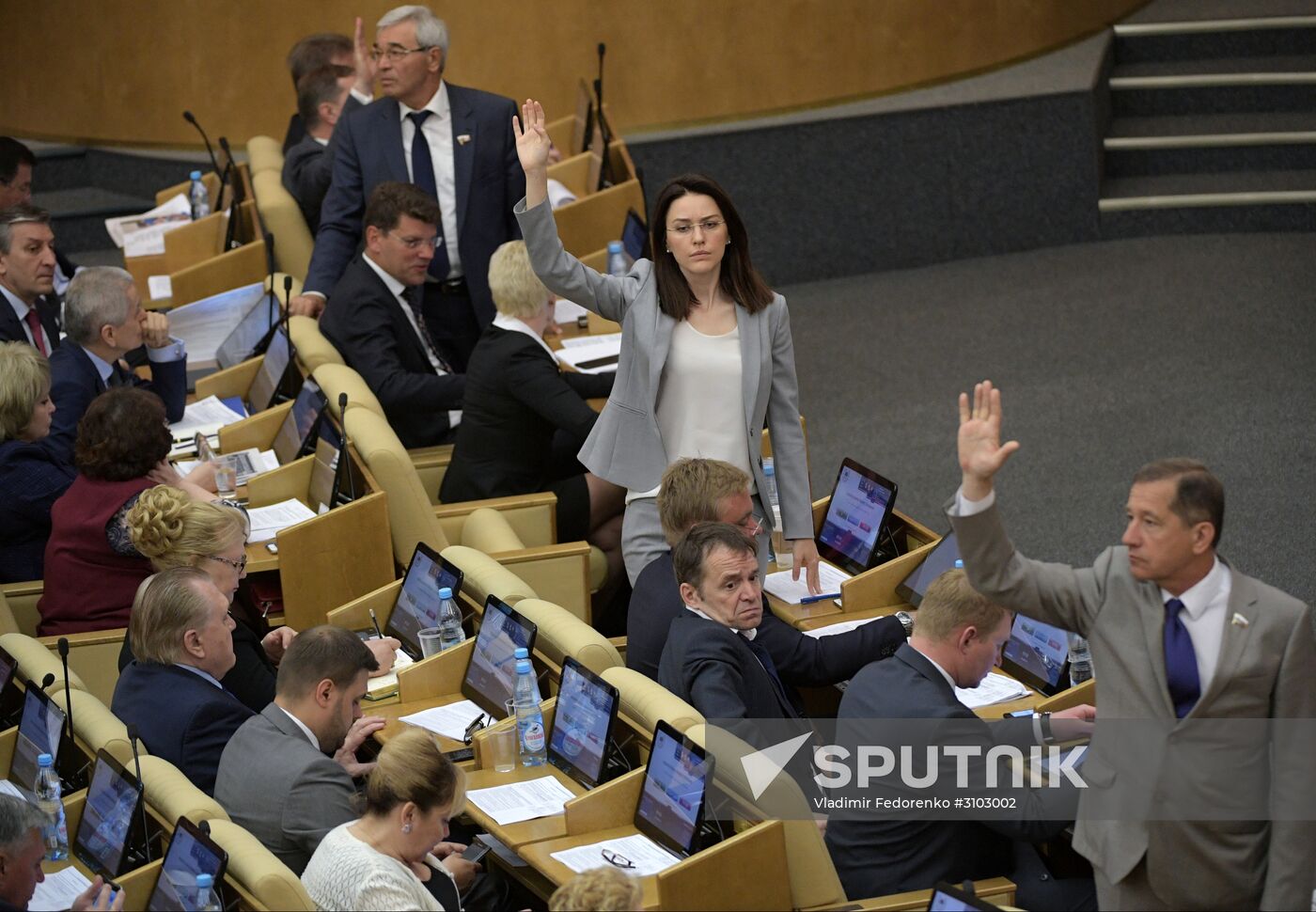 State Duma plenary meeting