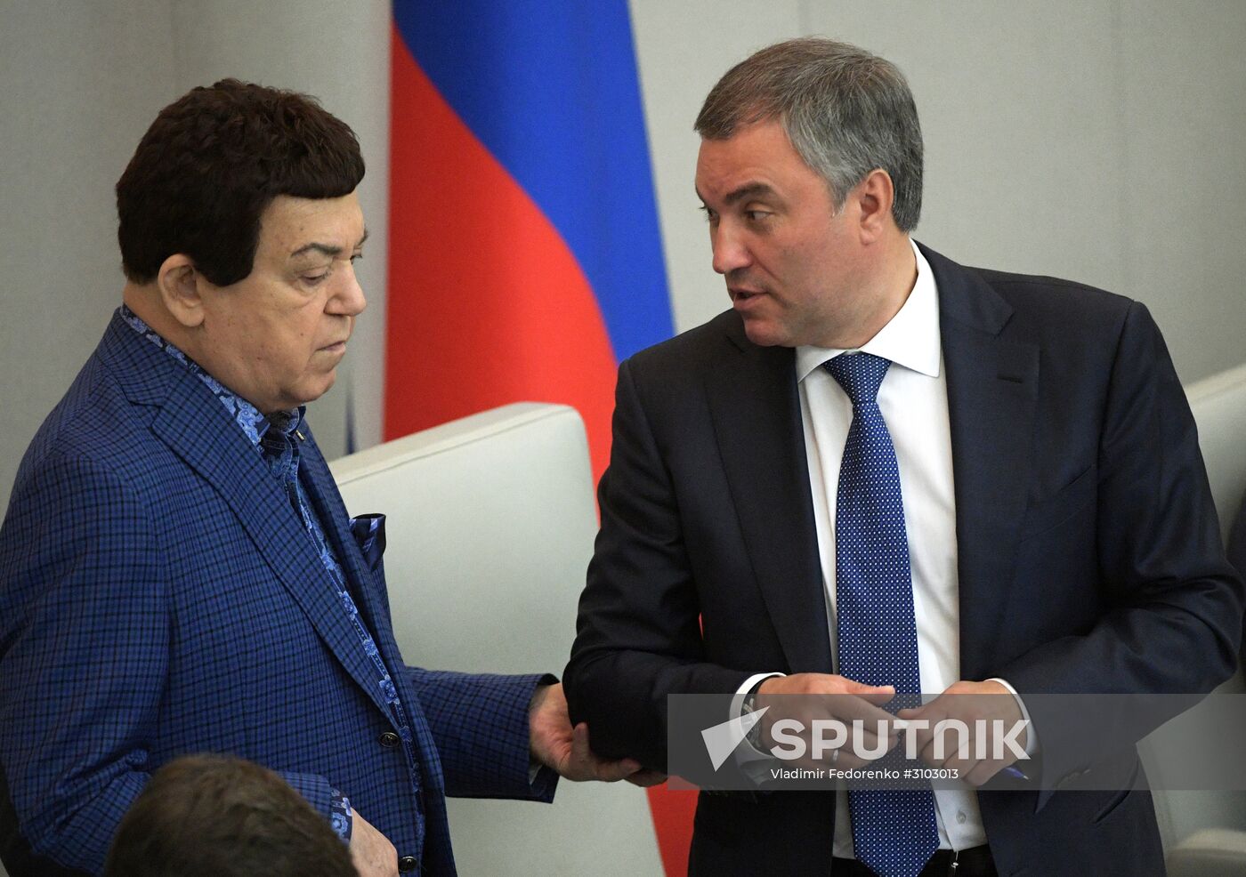 State Duma plenary meeting
