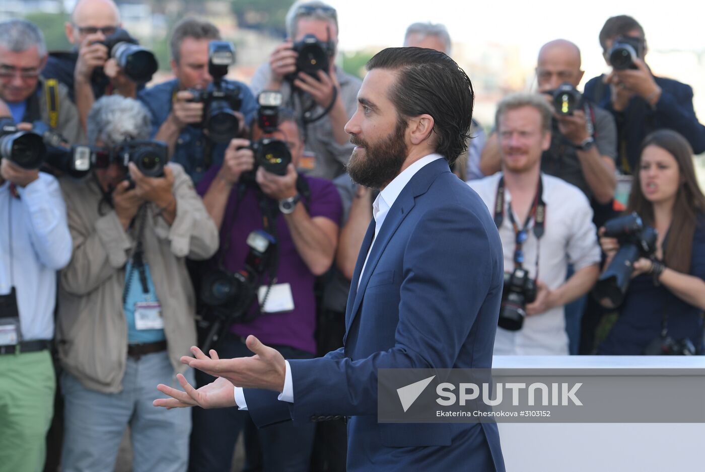 70th International Cannes Film Festival