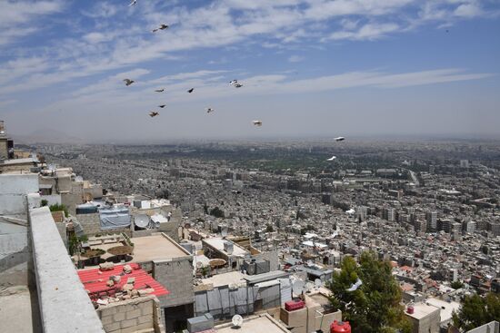 Peaceful life in Damascus