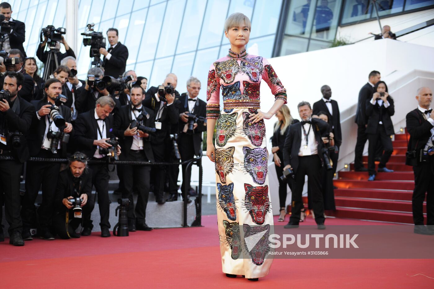 70th International Cannes Film Festival. Day Three